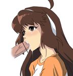  1girl ahoge blush brown_eyes brown_hair cum cum_in_mouth fellatio hou_(hachiyou) long_hair oral penis semen 