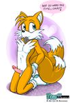  &hearts; balls canine condom condom_in_mouth erection fox male mammal miles_prower multiple_tails nude penis sega socks solo sonic_(series) tail vkyrie 