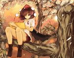  bad_id bad_pixiv_id brown_hair brown_legwear hair_ornament hat highres in_tree leaf looking_down notepad one_eye_closed pen petals red_eyes shameimaru_aya shirt sitting sitting_in_tree skirt smile socks solo touhou tree venomrobo 