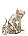  ashamed bashful biscuit biscuits briefs bulge caught clothed clothing cum_in_pants cummy_clothes embarrassed erection eyewear glasses half-dressed male mammal meesh mouse penis plain_background precum rat rodent solo topless underwear wet white_background 