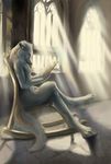  canine castle goodwolf male mammal nude reading rocking_chair solo sunlight window windows wolf 