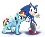  crossover friendship_is_magic green_eyes hedgehog my_little_pony nothing_is_sacred paintbrush pink_eyes rainbow_dash_(mlp) rainbow_hair sonic_(series) sonic_the_hedgehog 