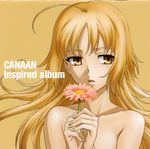  canaan disc_cover nude oosawa_maria tagme 