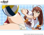  ikkitousen ryuubi_gentoku tagme volleyball 