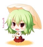  ascot bad_id bad_pixiv_id beni_shake blush chibi dress fang green_hair kazami_yuuka plaid plaid_skirt plaid_vest red_eyes short_hair skirt skirt_set solo touhou translated umbrella vest 