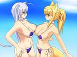  2girls animal_ears artist_request bikini blonde_hair blush breasts cameltoe cat_ears cat_tail character_request cleavage dog_days dog_ears fox_ears fox_tail green_eyes hiro_(hankakudouga) large_breasts leonmitchelli_galette_des_rois long_hair multiple_girls ponytail side-tie_bikini silver_hair smile swimsuit tail white_hair yellow_eyes yukikaze_panettone 