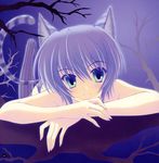  alice_in_wonderland cheshire_cat ice_&amp;amp;_choco kemonomimi nanao_naru nekomimi pantsu shimapan tail 