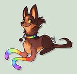  canine collar dog feral griffsnuff looking_at_viewer rainbow weird 