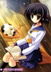  animal black_hair book cat hair_ribbon mitsui_mana oppai pillow red_eyes ribbon school_uniform serafuku sitting skirt socks 