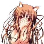  animal_ears blush breasts brown_hair cleavage hand_on_own_face highres holo large_breasts long_hair ngirln4 nipples nude red_eyes slit_pupils solo spice_and_wolf wolf_ears 