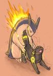  nintendo pokemon proximity typhlosion umbreon 