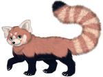  feral fuzzy leverpuller mammal non-anthro plain_background red_panda solo white_background 