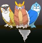  entei gen_2_pokemon no_humans owl pokemon pokemon_(creature) raikou suicune 