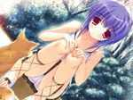  cg eroge game_cg haduki_sakura pastel siesta_(eroge_studio) tagme 