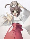  amatsume_akira miko neko overfiltered sphere suzuhira_hiro yosuga_no_sora 