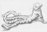  balls feline greyscale kaputotter male mammal monochrome nude plain_background sheath sketch solo tiger white_background 