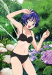  ai_yori_aoshi artist_request bra flower highres hydrangea lingerie panties purple_eyes purple_hair sakuraba_aoi short_hair solo source_request underwear underwear_only water wet 