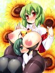  akikaze_tsumuji antennae ass between_breasts black_bra black_legwear blush bra bra_strap breasts cape clothes_between_breasts curvy flower green_eyes green_hair head_between_breasts huge_breasts kazami_yuuka lingerie multiple_girls necktie nipples no_pants open_clothes open_mouth open_shirt panties panties_under_pantyhose pantyhose red_eyes shirt short_hair size_difference smile strap_pull sunflower sweat tears thighband_pantyhose touhou underwear wriggle_nightbug yuri 