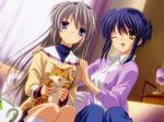  cat clannad neko sagara_misae sakagami_tomoyo shima_katsuki 