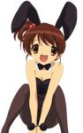  bunny_girl extraction kyon&#039;s_sister suzumiya_haruhi_no_yuuutsu tights vector 