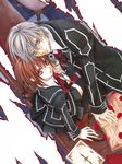  hino_matsuri tagme vampire_knight 