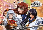  chouun_shiryuu ikkitousen ikkitousen~great_guardians~ kanu_unchou rin_sin ryuubi_gentoku 