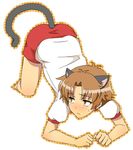  animal_ears ass bad_id bad_pixiv_id baka_to_test_to_shoukanjuu barefoot brown_eyes brown_hair cat_ears cat_tail gym_uniform male_focus solo tabata678 tail yoshii_akihisa 