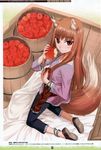  absurdres animal_ears anklet apple barrel blush bracelet brown_hair eating food from_above fruit highres holding holding_food holding_fruit holo jewelry kneeling koume_keito long_hair looking_up pouch red_eyes scan smile solo spice_and_wolf tail wolf_ears wolf_tail 