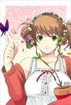  bad_id bad_pixiv_id breasts brown_hair bug butterfly flower green_eyes insect large_breasts original smile solo tsuzuki_(pi-cco) 