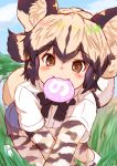  :3 african_wild_dog_(kemono_friends) african_wild_dog_print all_fours animal_ear_fluff animal_ears animal_print bangs black_hair blush bodystocking brown_eyes commentary_request day dog_ears dog_tail eyebrows_visible_through_hair flipped_hair food grass highres japari_bun kemono_friends light_brown_hair long_sleeves looking_at_viewer mouth_hold multicolored_hair ooba_jun outdoors shirt short_over_long_sleeves short_sleeves shorts sidelocks smile solo tail twitter_username two-tone_hair white_shirt 