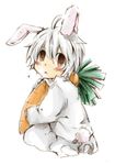  animal_ears bad_id bad_pixiv_id brown_eyes bunny_ears bunny_tail carrot death_note hangdok male_focus near solo tail white_hair 