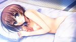  bed breasts brown_hair game_cg koi_de_wa_naku nipples nude short_hair tagme_(character) tomose_shunsaku 