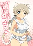  animal_ears apron bad_id bad_pixiv_id blue_eyes braid cat_ears happy_birthday long_hair lynette_bishop naked_apron panties silver_hair single_braid solo strike_witches tail tonbi underwear world_witches_series 