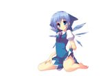  blue_eyes blue_hair cirno ite_fuji skirt_lift touhou white 