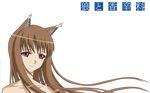  animal_ears brown_hair horo long_hair nude red_eyes spice_and_wolf transparent vector wolfgirl 