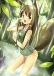  animal_ears brown_eyes brown_hair fang fox_ears fox_tail long_hair no_pants original panties rinku solo tail underwear water 