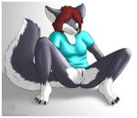  blue_eyes bottomless canine clothed clothing female grey_hair hair half-dressed looking_at_viewer mammal plain_background presenting pussy red_hair skimpy skipsy solo spread_legs spreading white_background wolf 