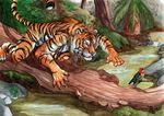  ashalind avian bird blue_eyes feline forest log male necklace river rocks solo stripes tiger tree tursiae_(character) wood 