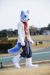  blue clothing fursuit male outside photo real road solo unknown_artist 