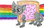  feline feral looking_at_viewer mammal nyan_cat plain_background rainbow solo tail unknown_artist white_background 