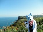  blue fursuit headband japan landscape leaves outside photo real solo tree unknown_artist wood 