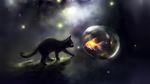  apofiss black black_fur bubble cat feline feral fireflies firefly fish forest fur goldfish log mammal marine moss outside surreal tree wallpaper widescreen wood yellow_eyes 