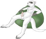  balls bean_bag ferret leverpuller male mammal mustelid nude penis plain_background solo white_background 