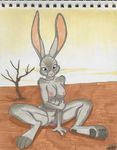  background breasts desert ears female hindpaw lagomorph looking_at_viewer malachi mammal nipples nude paws pussy rabbit simple_background sitting solo spread_legs spreading 