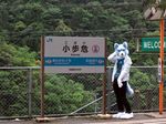  blue fursuit japan japanese koboke landscape leaves looking_at_viewer male outside photo real road scarf sign solo tree wood 