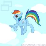  blush cloud clouds equine female feral flying friendship_is_magic fur hair horse mammal multi-colored_hair my_little_pony pegasus pink_eyes pony pussy rainbow_dash_(mlp) rainbow_hair solo unknown_artist wings 