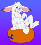  :p cub jake_cottontail lagomorph male mammal nude penis quiet269 rabbit solo tongue tongue_out young 