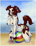  anthro ball beach beach_ball breasts canine dog farorenightclaw female mammal nipples panties sand seaside solo topless underwear 