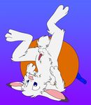  cub jake_cottontail lagomorph male mammal nude penis quiet269 rabbit solo young 