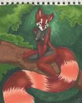  background breasts female malachi mammal nipples nude pink_eyes pose red_panda simple_background solo tail tree wood 